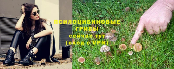 а пвп мука Аркадак
